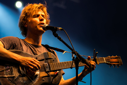 the wombats